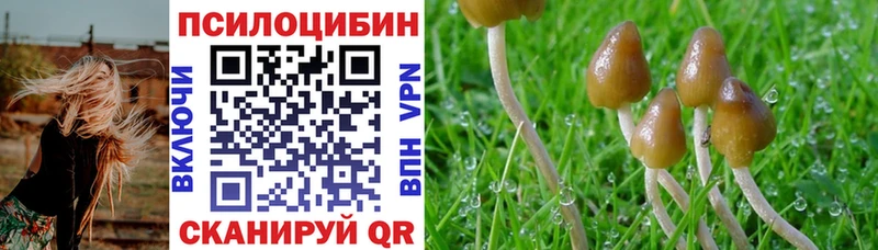 Галлюциногенные грибы ЛСД  хочу   ссылка на мегу как зайти  Балашов 