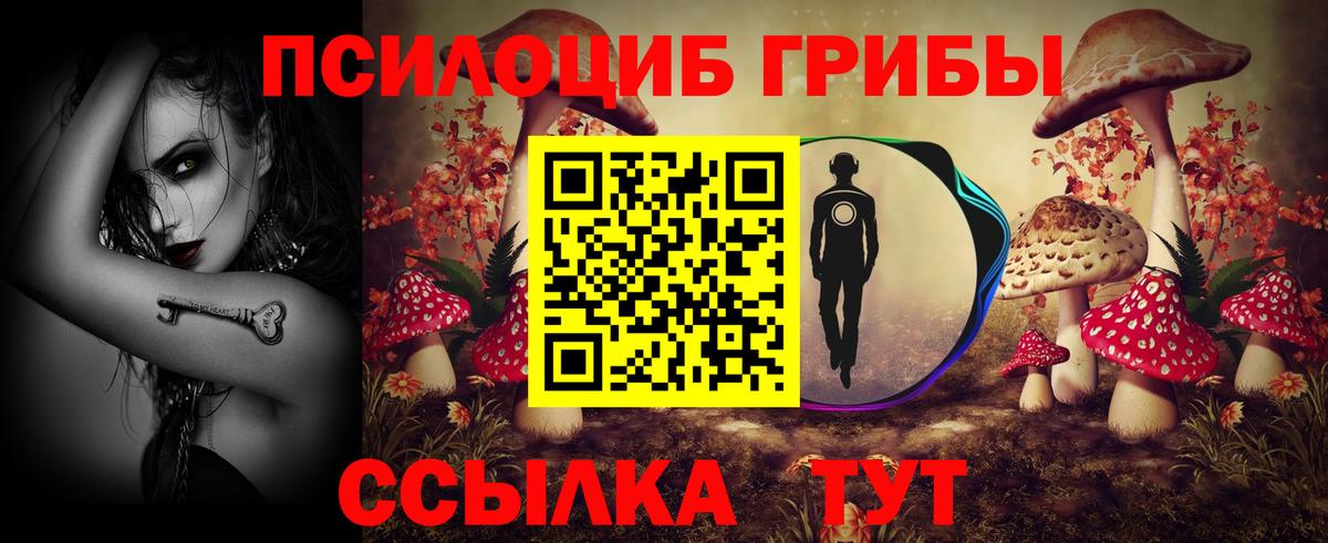 Балашов  Галлюциногенные грибы MAGIC MUSHROOMS  что такое наркотик  Вход с VPN 