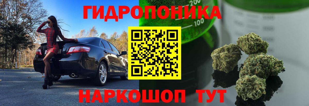 Канабис Bruce Banner  Бошки марихуана AK-47  Балашов  Конопля конопля  МАРИХУАНА индика  Вход с VPN 